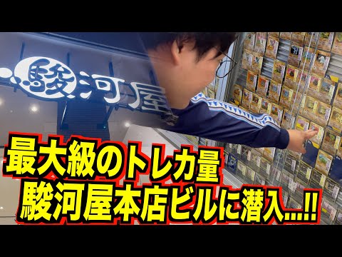 【ポケカ旅/静岡編】最大級のトレカ量を誇る駿河屋本店ビルの旧裏ポケカ徹底調査、、、！！