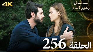 الحلقة 256 | مسلسل زهور الدم | مدبلج بالعربية | Kan Çiçekleri | جودة 4K