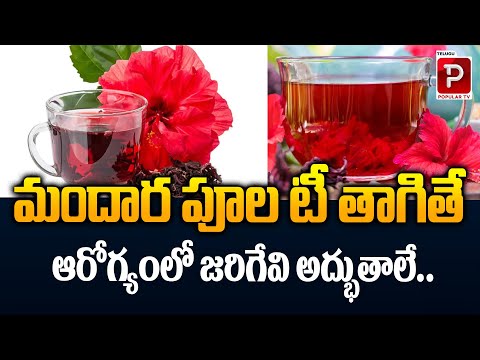 Amazing Health Benefits of Drinking Mandara Flower Tea | Telugu Popular TV