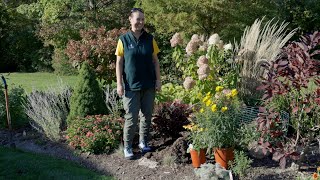 PETITTI | Fall Planting - How & When to Plant Perennials, Trees, Shrubs, and Mums