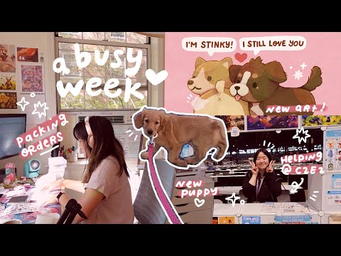 a busy week ✿ boba the puppy, packing orders, new art, helping at c2e2 ✿ artist vlog