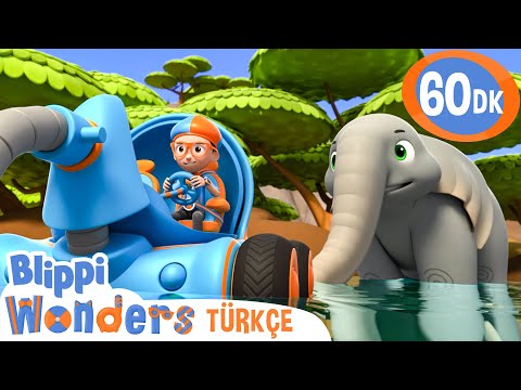 Filler | Blippi Türkçe - Çocuklar için Eğitici Videolar