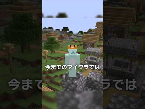 容量最大の重すぎるゲームキャラクター？！【マイクラ豆知識 解説 裏技】