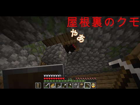 【マイクラ】村を囲んだ後は、屋根裏のクモ駆除！？