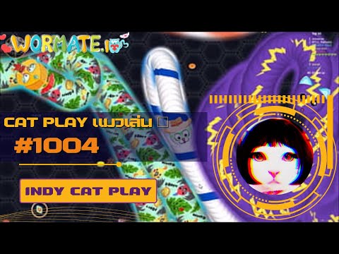 INDY CAT PLAY | wormate.io | Cat Play แมวเล่น 🐾 | #1004