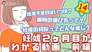 妊娠2ヶ月目がわかる動画　前編【プレママパパ向け】