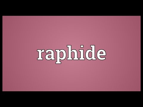 Raphide Meaning