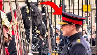 King's Horse in Happy Mode Hilarious Reactions to Seeing His Favourite Captain