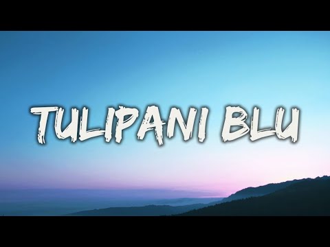 Tulipani Blu - Matteo Romano, Luigi Strangis (Lyrics/Testo)