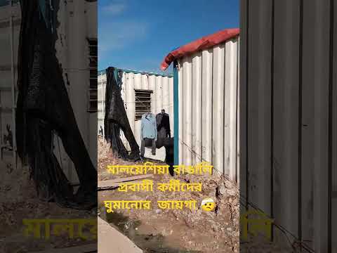 মালয়েশিয়া ওয়ার্ক ভিসার বর্তমান পরিস্থিতি কি?