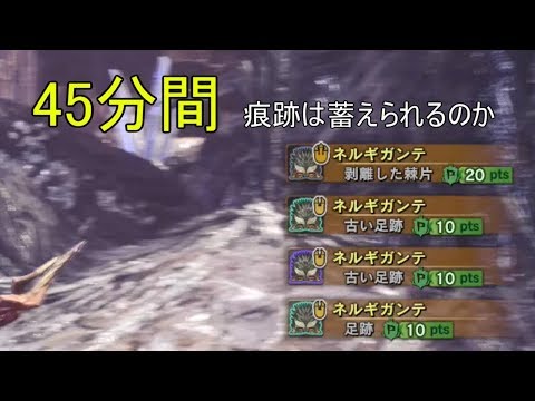 45分間 古龍の痕跡をため続けるとどうなるのか MHW