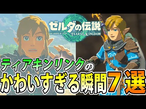 【推しを眺める】思わず笑ってしまう、リンクのかわいすぎる瞬間7選【ゼルダの伝説 ティアキン】