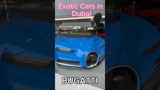 Exotic Cars in Dubai | BUGATTI # shorts #bugatti #exoticcars #dubai