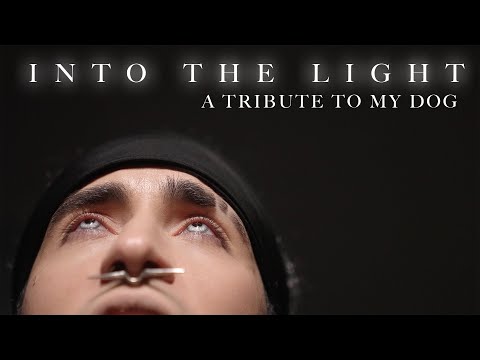 Into the Light - IN THIS MOMENT Cover by Corvyx | A Tribute to my dog Gizmo