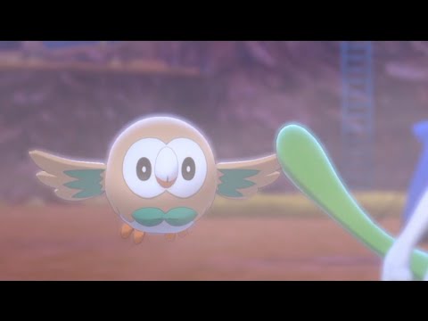 Rowlet:Stop Blocking me!