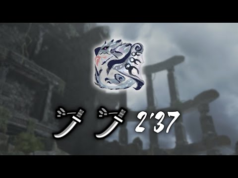 MHRise: Sunbreak - Silver Rathalos 2'37 LongSword Duo