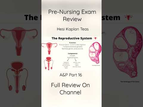 Pre-Nursing  Exam Review | anatomy and Physiology￼ Part  16