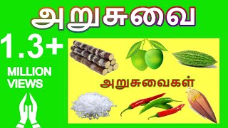 தமிழரசி-அறுசுவைகள் |Learn name of Six tastes in Tamil for Kids and Children | Tamilarasi