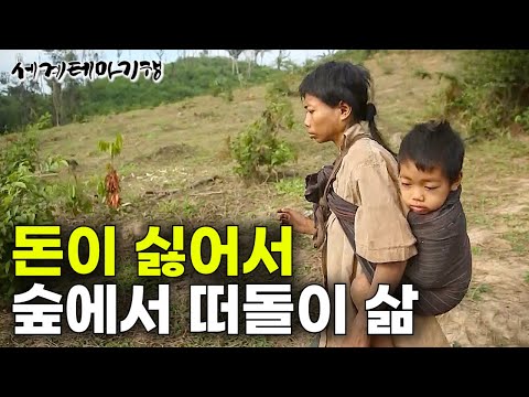 문명과 떨어진 숲 속에서 떠돌이 삶은 사는 소수민족에게 선물을 사줬습니다｜돈이 싫어서 숲에서 떠돌이 삶｜세계테마기행｜#세테깅