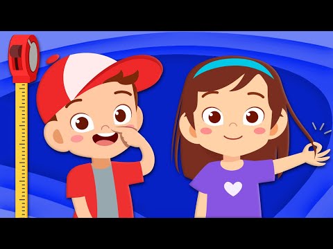 Discover The Parts Of Your Body That Never Stop Growing! | Human Body Songs For Kids | KLT Anatomy