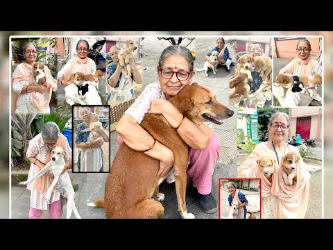 Happy birthday Vidya aunty #trending #streetdoglove #doglover #celebration #streetpuppy #pets