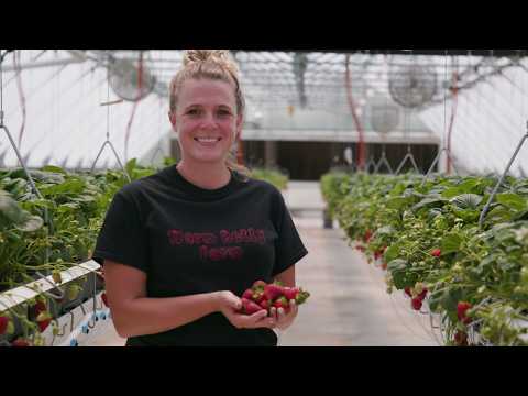 Wisconsin Life | From backyard garden to high-tech strawberry farm