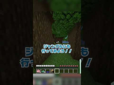 クラフトレシピがランダムな世界！【マイクラ豆知識 解説 裏技】