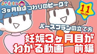 妊娠3ヶ月目がわかる動画　前編【プレママパパ向け】