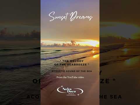 ”Sunset Dreams"  Relaxing Beach Video #shorts