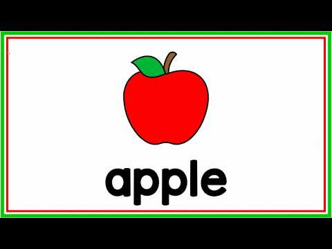 Apple Life Cycle Vocabulary Words