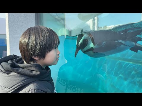 レオくんがおでかけしてみた！四国水族館！ Part58 レオスマイル