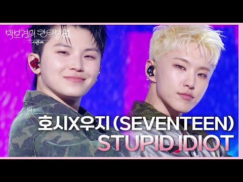 호시X우지 (SEVENTEEN) - STUPID IDIOT [더 시즌즈-박보검의 칸타빌레] | KBS 250314 방송