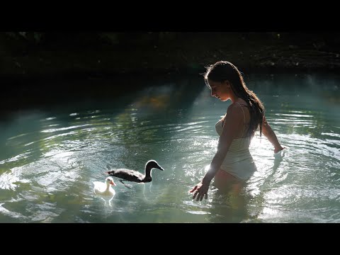 Calming Swim with My Pet Ducks: Daily Life in the Countryside