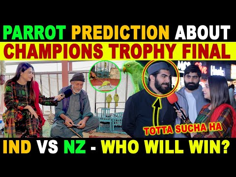 INDIA🇮🇳 VS NZ🇳🇿 | WHO WILL WIN CHAMPIONS TROPHY 2025 | PARROT PREDICTION ABOUT CT25 FINAL