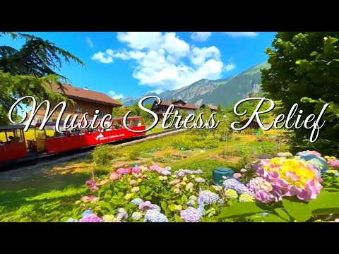 Beautiful Relaxing Music Stress Relief 🌼 Mountain Vibes 4K HD | Soothing Nature Sounds & Deep Sleep