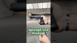 Springfield prodigy