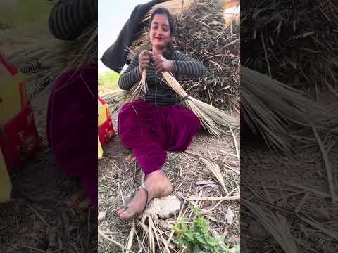 गाँव की लड़की का तेज़ तर्रार कंप्यूटर दिमाग़👉 The sharp mind of a village girl #artwork #viralvideo