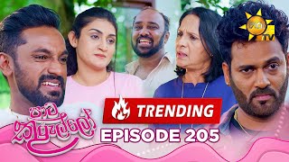 Paata Kurullo - පාට කුරුල්ලෝ | Episode 205 | 2025-02-20 | Hiru TV