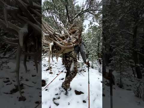 100 Pound Pack out of Elk Sheds #winter #shedhunting