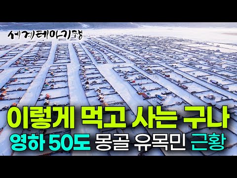 영하 50도 숨막히는 벌판.. 볼수록 경이로운 몽골 유목민이 먹고 사는 법│세계테마기행│#세테깅