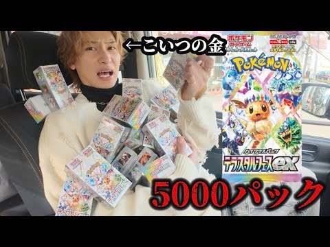 友達の金で最新ポケカありえへんくらい買い占めてブラッキー当てさせてみた【テラスタルフェス】