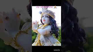 #jaisrikrishna #goodmorning #morningsong #srikrishnakatha #krishnabhajan #gopalthakur #shorts