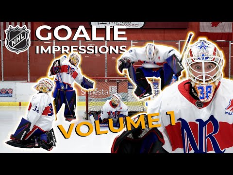 NHL Goalie Impressions