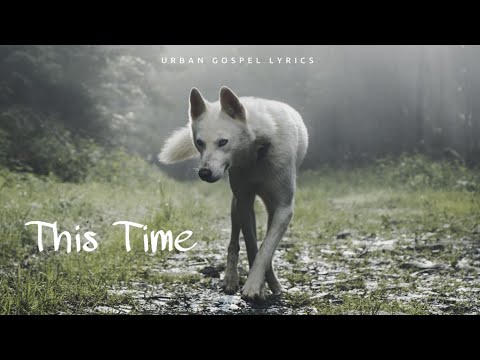 Tedashii & Jon Keith - This Time (Lyrics)