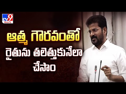 ఆత్మ గౌరవంతో రైతును తలెత్తుకునేలా చేసాం : CM Revanth Reddy - TV9