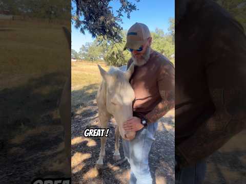 What is that smell? #farms #farmchannel #horse #horseshorts #horsefan #horsesofyoutube #ranchstory