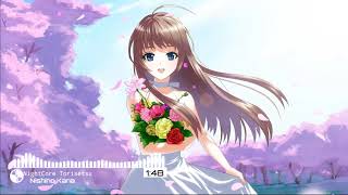 Nightcore•Torisetsu -Kana Nishino