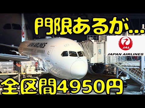 【時間内に着陸せよ】東京→福岡をJAL便で"普通"は使わないルートで移動すると...