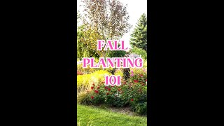 Fall Planting Roses