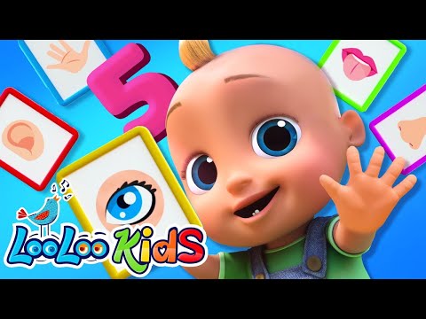 Five Senses Song 👁️👂👃👅✋ | Learn Sight, Sound, Smell, Taste & Touch 🎶 | Fun Kids Songs by LooLoo Kids